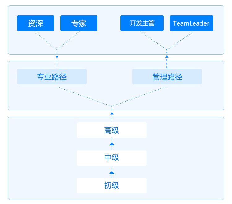 发展路劲图