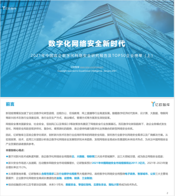 政企数字化网络安全报告（上）（2021）