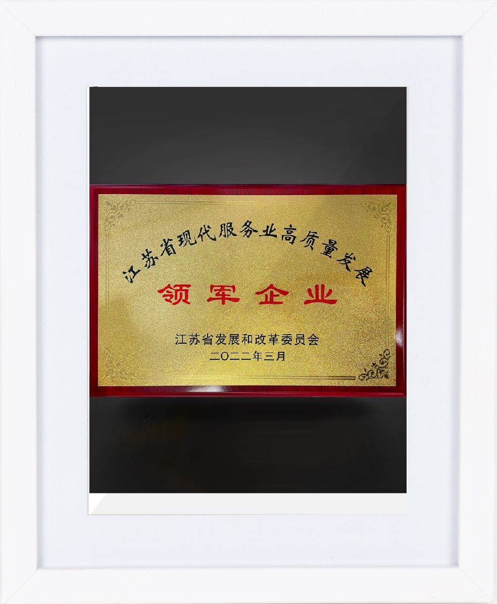 江苏省现代服务业领军企业